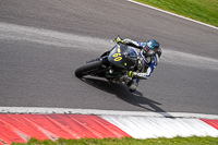 cadwell-no-limits-trackday;cadwell-park;cadwell-park-photographs;cadwell-trackday-photographs;enduro-digital-images;event-digital-images;eventdigitalimages;no-limits-trackdays;peter-wileman-photography;racing-digital-images;trackday-digital-images;trackday-photos